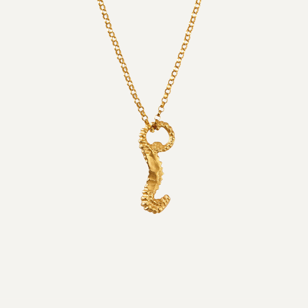 The Elusive Dreamer Necklace